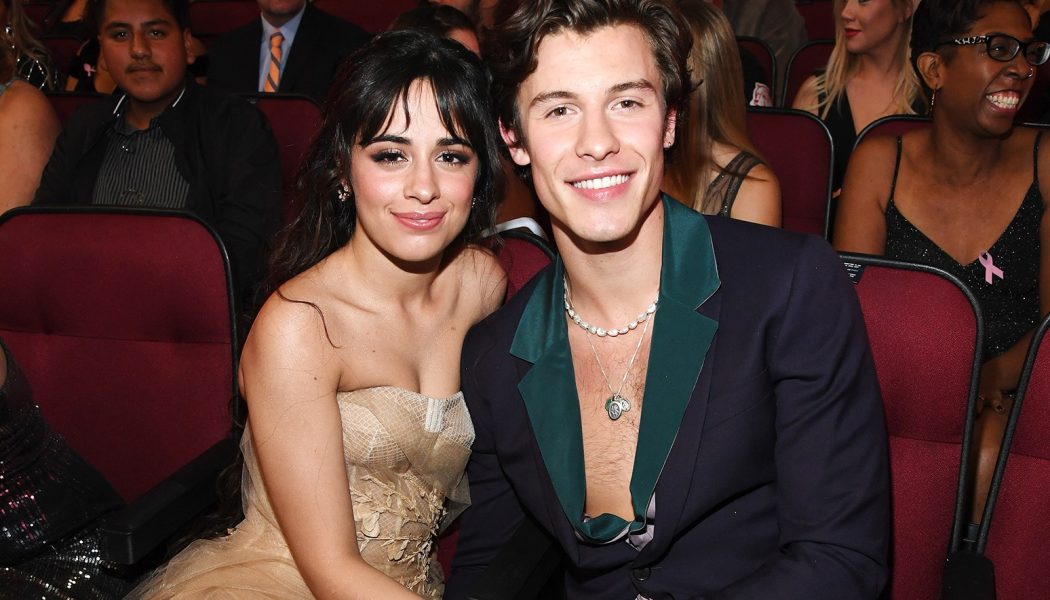 Camila Cabello and Shawn Mendes Heat Up Christmas With Passionate Hot Tub Kiss