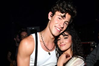 Camila Cabello & Shawn Mendes Release Surprise ‘The Christmas Song’ Duet