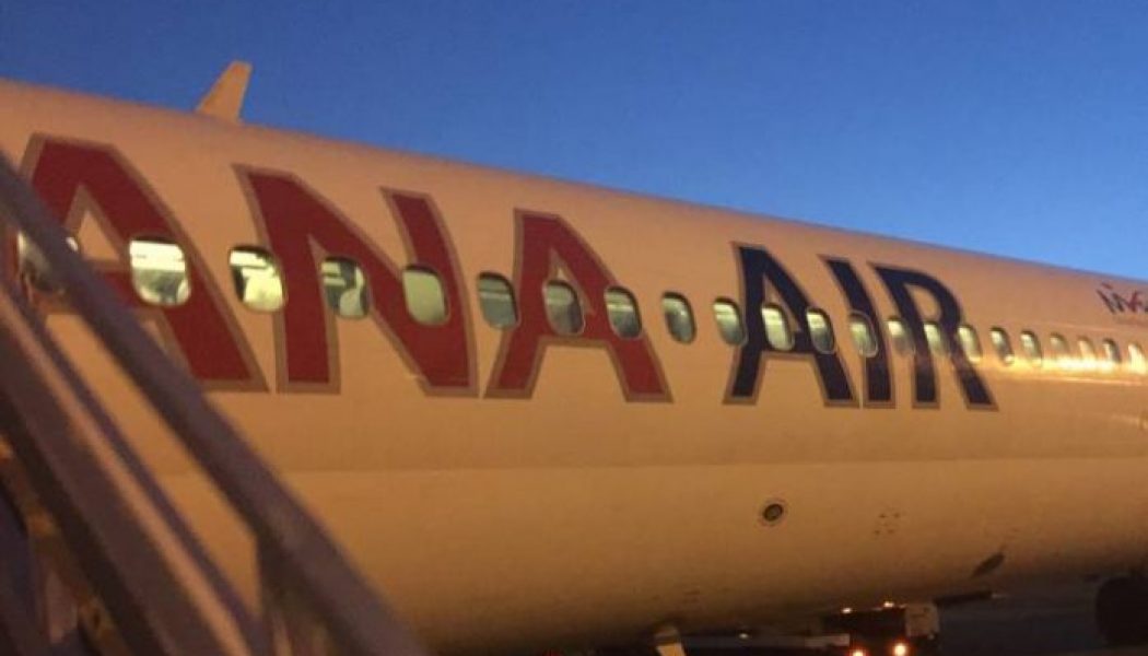 Dana Air offers free tickets to passengers after flight cancellation