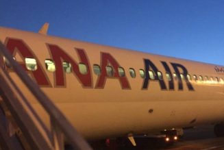 Dana Air offers free tickets to passengers after flight cancellation