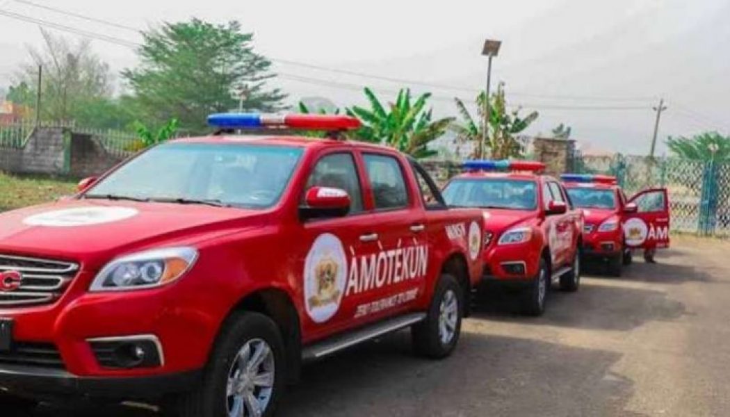 Ex-IGP: Amotekun corps not permitted to carry arms