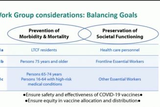 Frontline essential workers and the elderly next in line for COVID-19 vaccinations in US