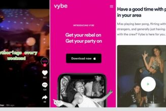“Get Your Rebel On”: App Promoting Secret Pandemic Parties Removed from App Store, TikTok