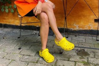 I Hate to Break it to You But 2021 Is Set to be the Year of the Croc