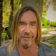 Iggy Pop Releases COVID-19 Rocker “Dirty Little Virus”: Stream