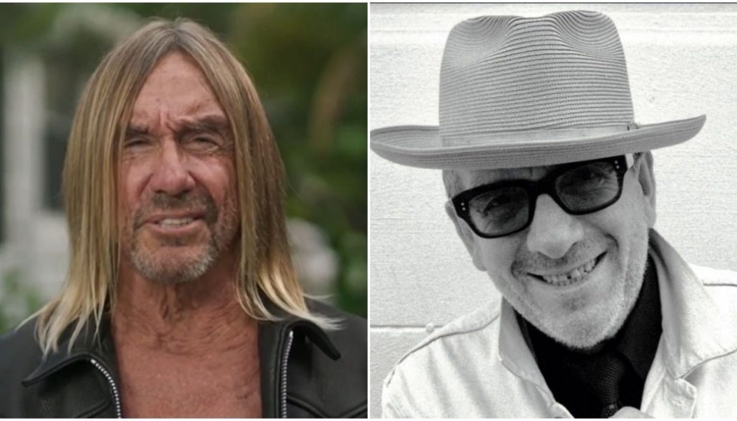 Iggy Pop Shares French Language Cover of Elvis Costello’s “No Flag”: Stream
