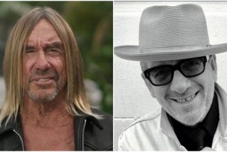 Iggy Pop Shares French Language Cover of Elvis Costello’s “No Flag”: Stream