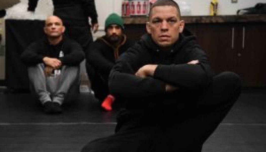 Jake Paul Calls Out Conor McGregor & Dana White, But Nate Diaz Responds