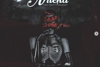 Larry Gaaga – Nneka The Pretty Serpent Album Download