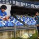 Napoli stadium officially renamed ‘Stadio Diego Armando Maradona’