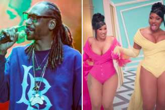 Rapper Who Named Album Doggystyle Thinks “WAP” Is Too Sexy