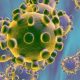 Reports: New coronavirus strain from Britain identified in Nigeria