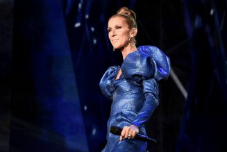 Sam Smith and Celine Dion Have the Sweetest Things to Say About Each Other