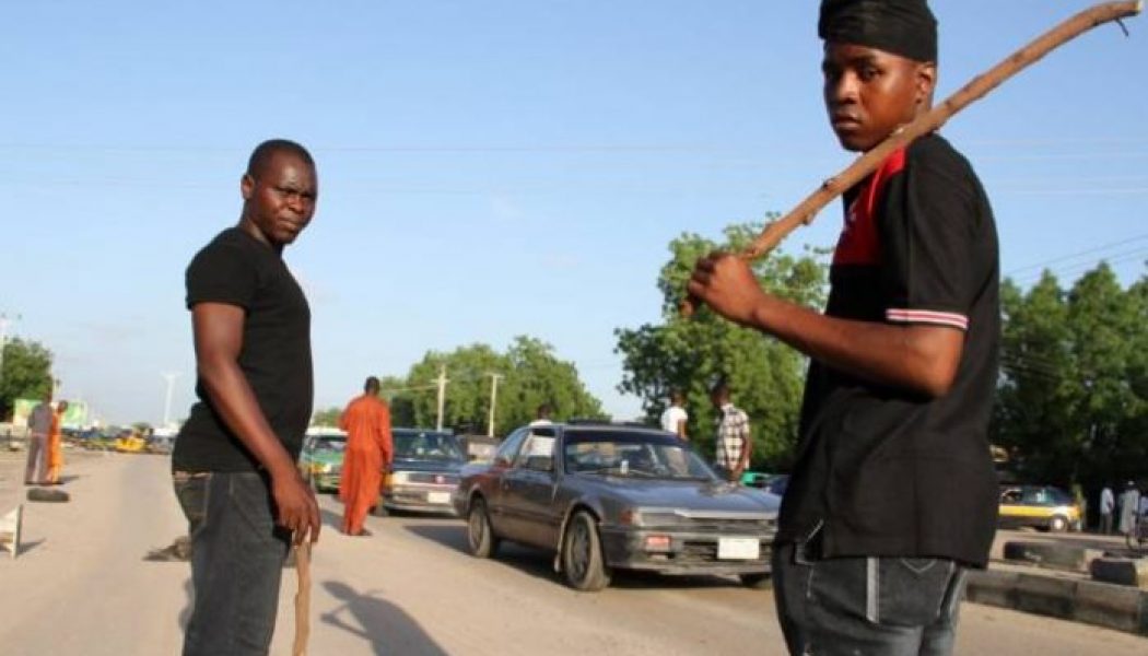 Security expert calls for 10,000 vigilantes to provide protection for Borno communities
