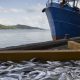 Slavery and overfishing on the high seas can’t hide from these researchers