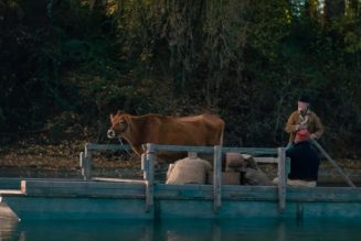 The best movies of 2020