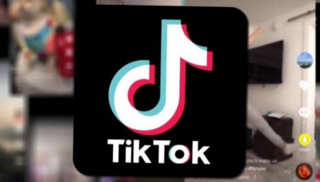TikTok to hide graphic videos behind warning screens