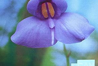 Underground Vibes | 060