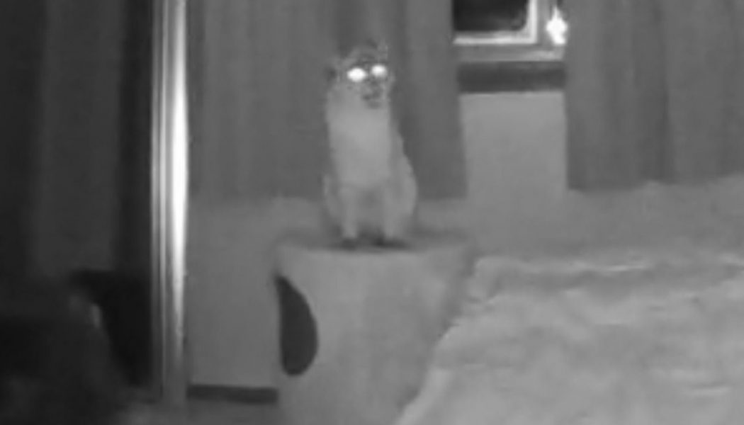 You can now record footage from Ecobee’s camera to Apple servers, but you may want to keep their app