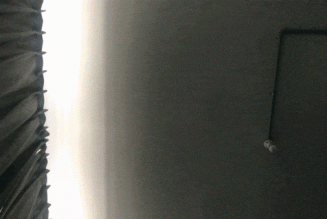 A Day in the Life of…Merk