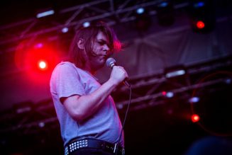 Ariel Pink Dropped By Mexican Summer Following D.C. Riots