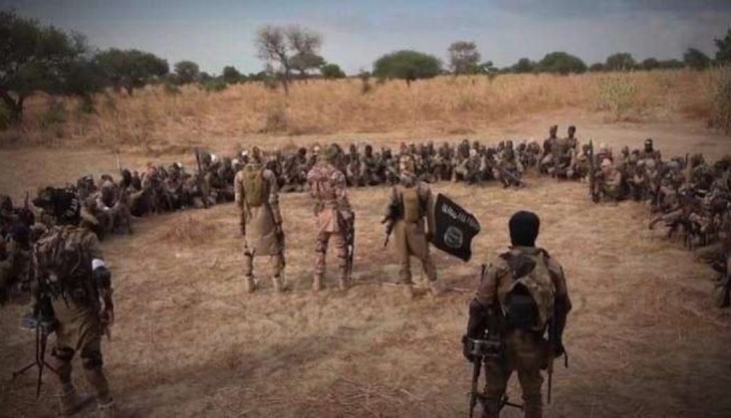 Boko Haram kills 13 in Cameroon’s Far North region