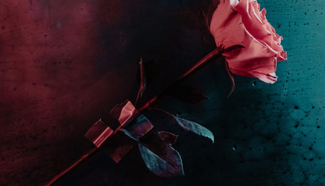 DNMO and The Arcturians Release Fiery Single “Without You Near” on Deadbeats