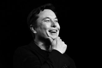 Elon Musk Tweeted a Burning Man Meme Referencing Man Who Stormed Congress In Horned Helmet