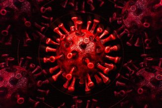 Go read this story about how bad software helped slow coronavirus vaccine distribution