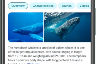 Google search on mobile is getting a redesign