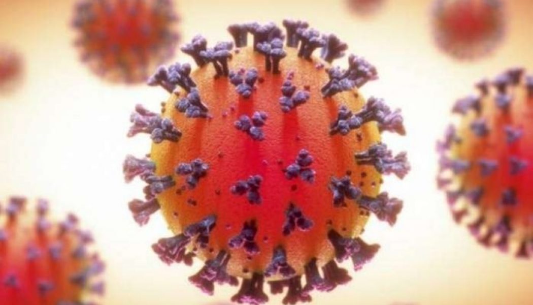 Japan detects new coronavirus variant