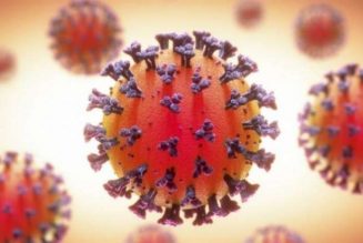 Japan detects new coronavirus variant