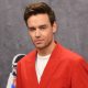 Liam Payne Opens Up About the Complications of Co-Parenting During the Pandemic