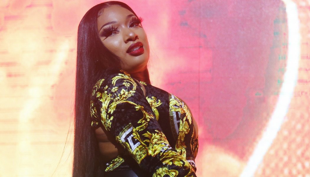 Megan Thee Stallion Says She ‘Dior’d My Damn Self’: See Her Groovy Look