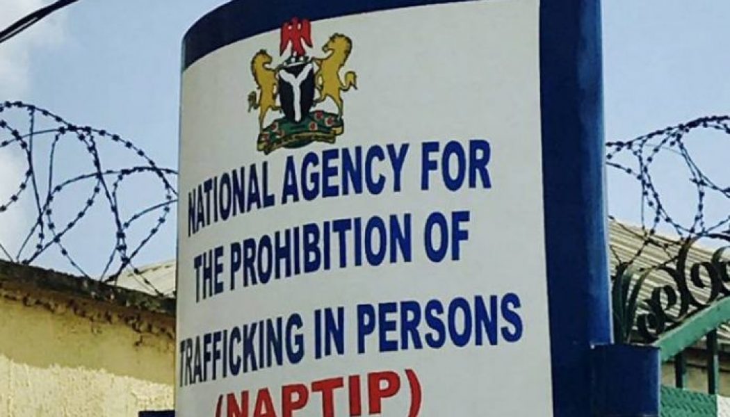 Minister tasks NAPTIP on domestication of trafficking act