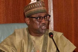Niger debunks plan to recruit youths to fight bandits