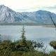 Oil company that hired Interior official won’t seek ANWR acreage