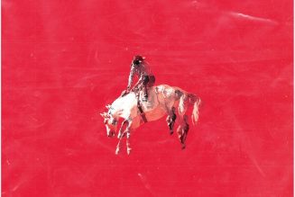 Toledo Share New Song “Dog Has Its Day”: Stream