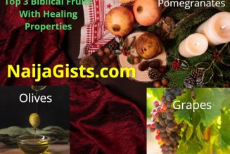Top 3 Biblical Fruits And Their Healing Properties
