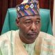 Borno governor sacks health commissioner