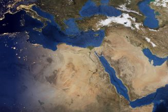 Citrix Appoints New VP for Partner Sales