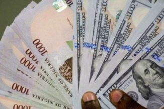 Economist: Official exchange rate may depreciate to N420 to the dollar