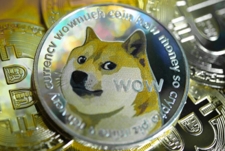 Elon Musk Tweet causes Dogecoin Price to Soar