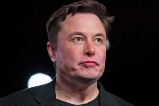 French village rejects Elon Musk’s space-age internet