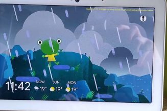 Google’s weather frog spotted on smart displays