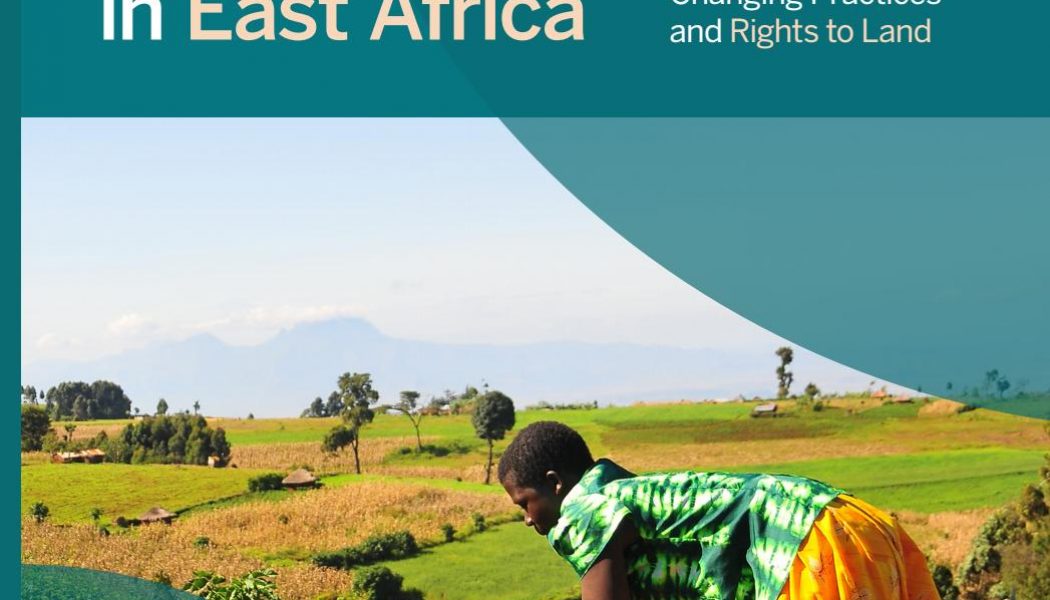 Haller Farmers: Restoring African Land for Over 50 Years