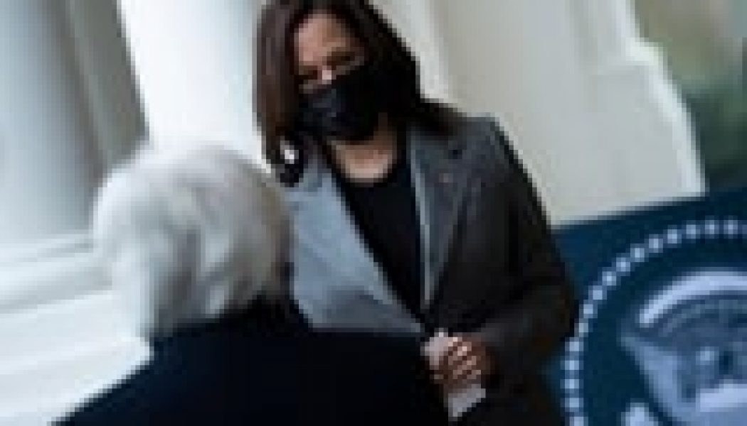 Kamala Harris Faces Criticism For Wearing Controversial Brand Dolce & Gabbana