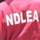 NDLEA intercepts container containing two million capsules of Tramadol in Apapa port