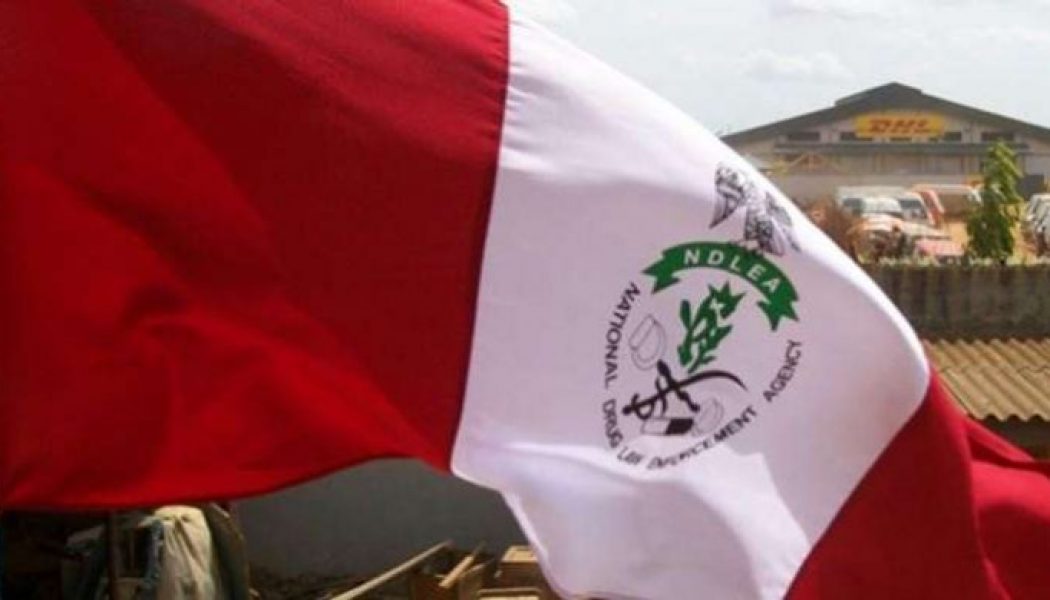 NDLEA warns against rogue recruitment portal floated by scammers