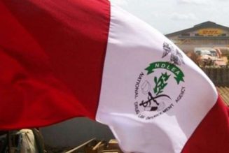 NDLEA warns against rogue recruitment portal floated by scammers